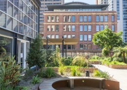 rooftop garden podium toronto