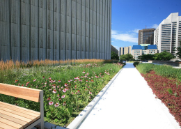 ubran podium green roof