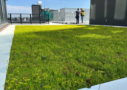 green roofing system toronto contractor