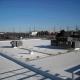 cold applied roofing roofs
