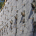 blindside wateproofing projects in Toronto